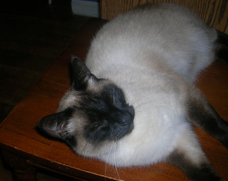 I think he is grinning at me