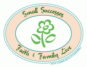 small_successes_badge-300x232 small_successes_badge-300x232