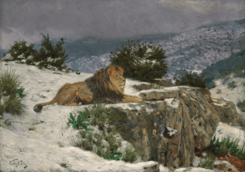 Lion in winter